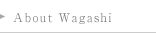 About Wagashi